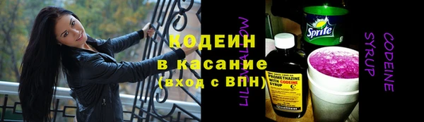 стафф Богданович