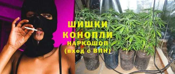 амф Бронницы