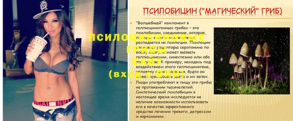 первитин Бородино