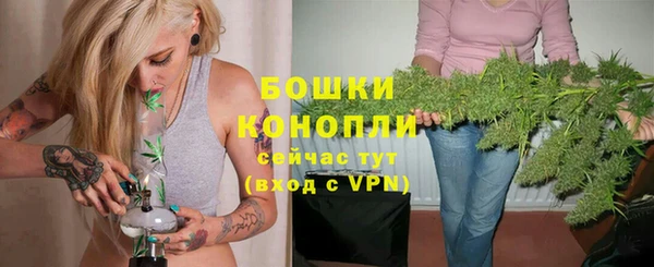 амф Бронницы