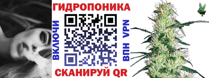 где купить наркоту  hydra зеркало  Конопля семена  Кедровый 
